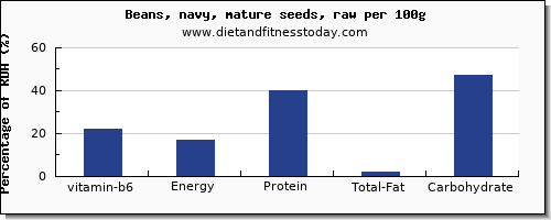 vitamin b6 and nutrition facts in navy beans per 100g